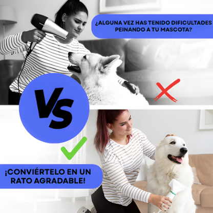 Secador de Mascotas 2 en 1