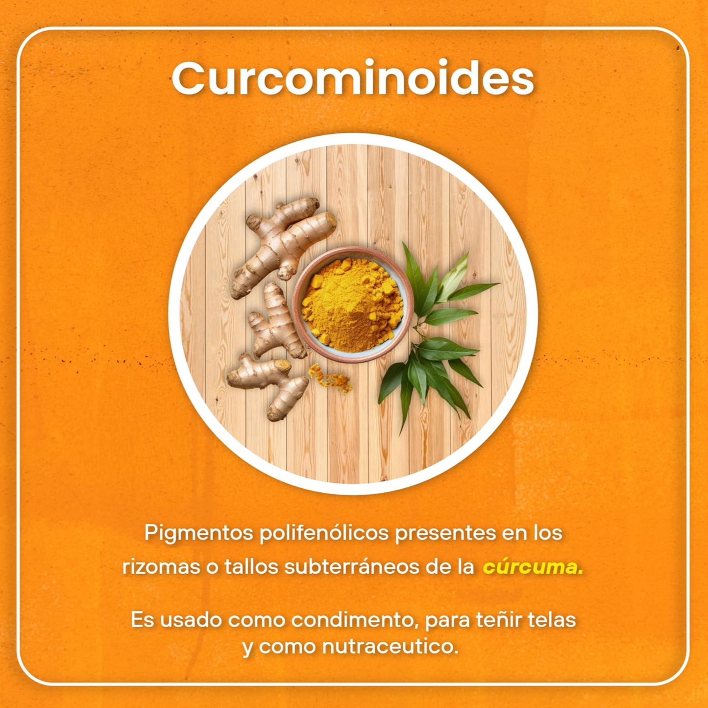 Cúrcuma 30 cápsulas - CURCUVITAL
